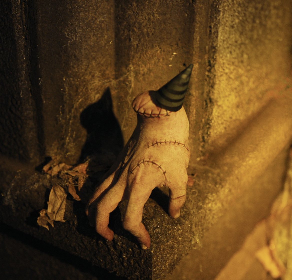 The party hat 😭😭 https://t.co/oE3d7WDxSf