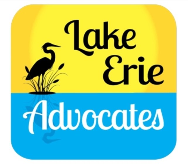CleanLakeErie's tweet photo. Lake Erie Advocates press release: 

OHIO OFFICIALS BEGIN COVER-UP OF 20-YEAR FACTORY FARM SCANDAL 

https://t.co/syEkYOPJdJ https://t.co/YuHNh2CZbO