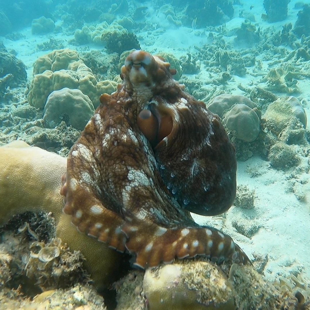 Elle Pattenden tweet media