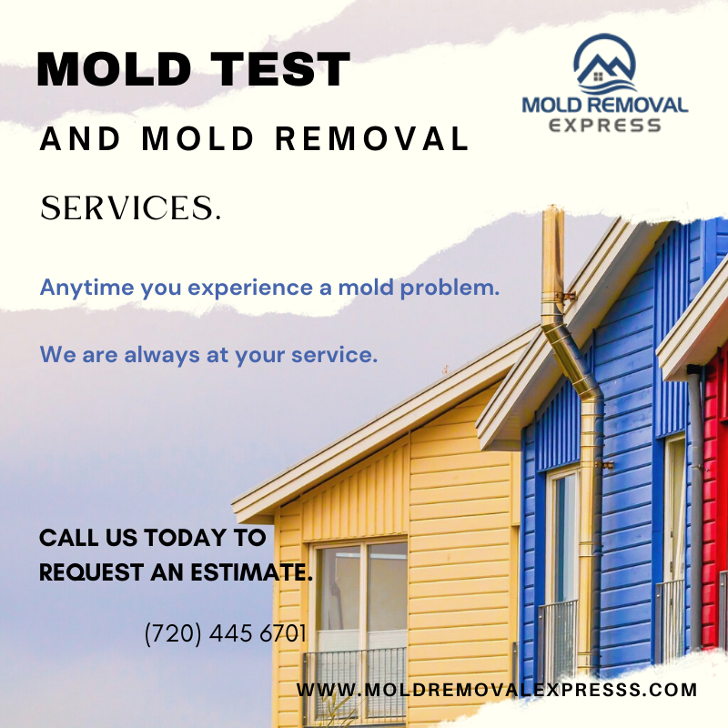MoldRemovalXP's tweet photo. Anytime you experience a mold problem. We are always at your service.
Call us today to book an appointment.
-
Serving #denver #boulder #fortcollins #coloradosprings #wyoming #colorado surrounding areas. https://t.co/FB5SLfv1FU