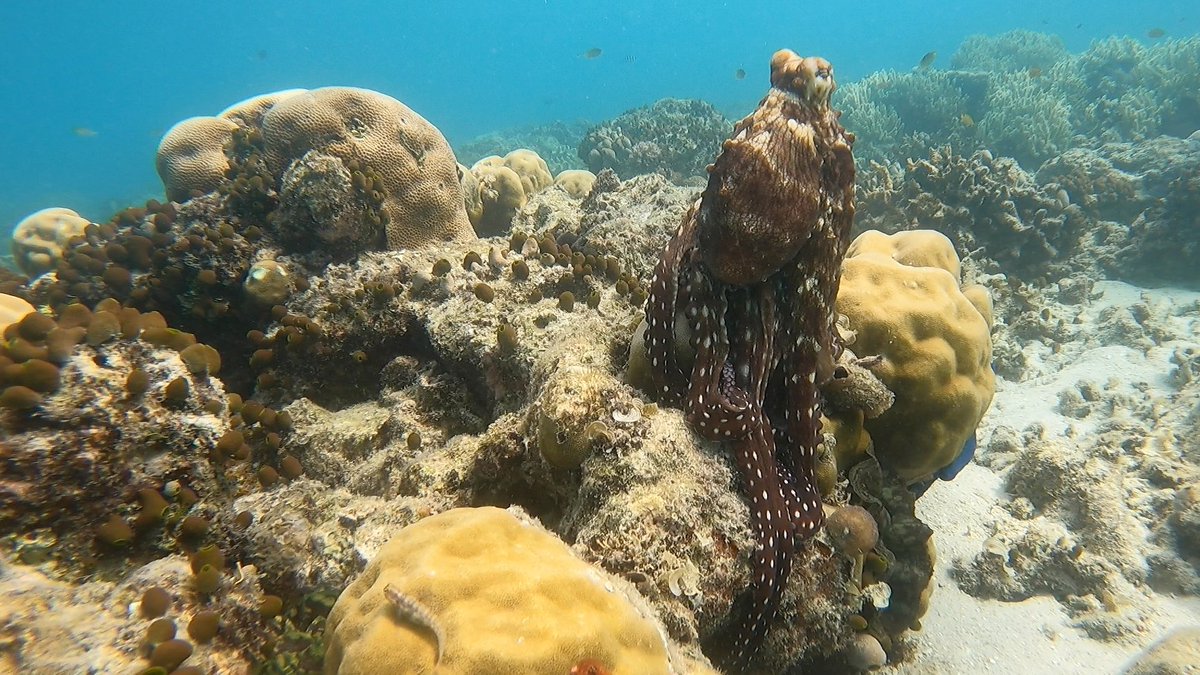 Elle Pattenden tweet media