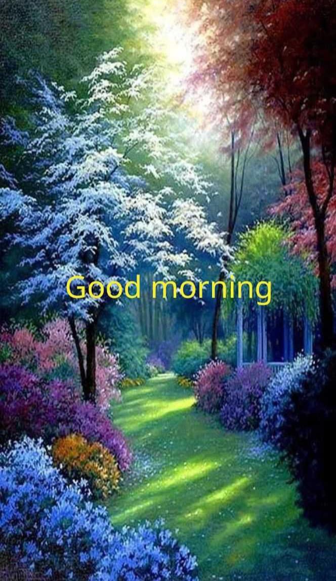 Riya Shakya (@riyasha58018091) on Twitter photo 