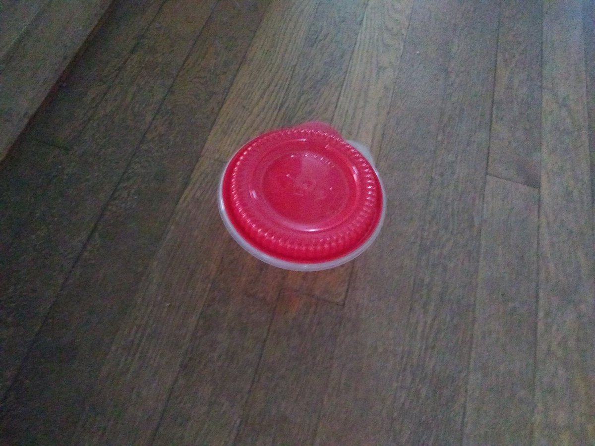 Innocent cats?? I think not LMAO #CatsOfTwitter #Troublemaker #cabinets #opened