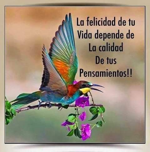 Paulina Anastacio flores (@paolaanastacio4) on Twitter photo 