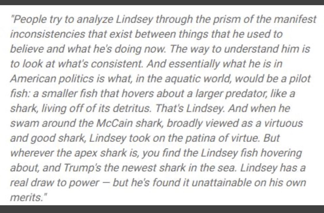 cesbrid's tweet photo. @CathyJoeGPT @Acyn I’m gonna share this every time. @SteveSchmidtSES was dead on!
#pilotfish https://t.co/aSuud44zXW