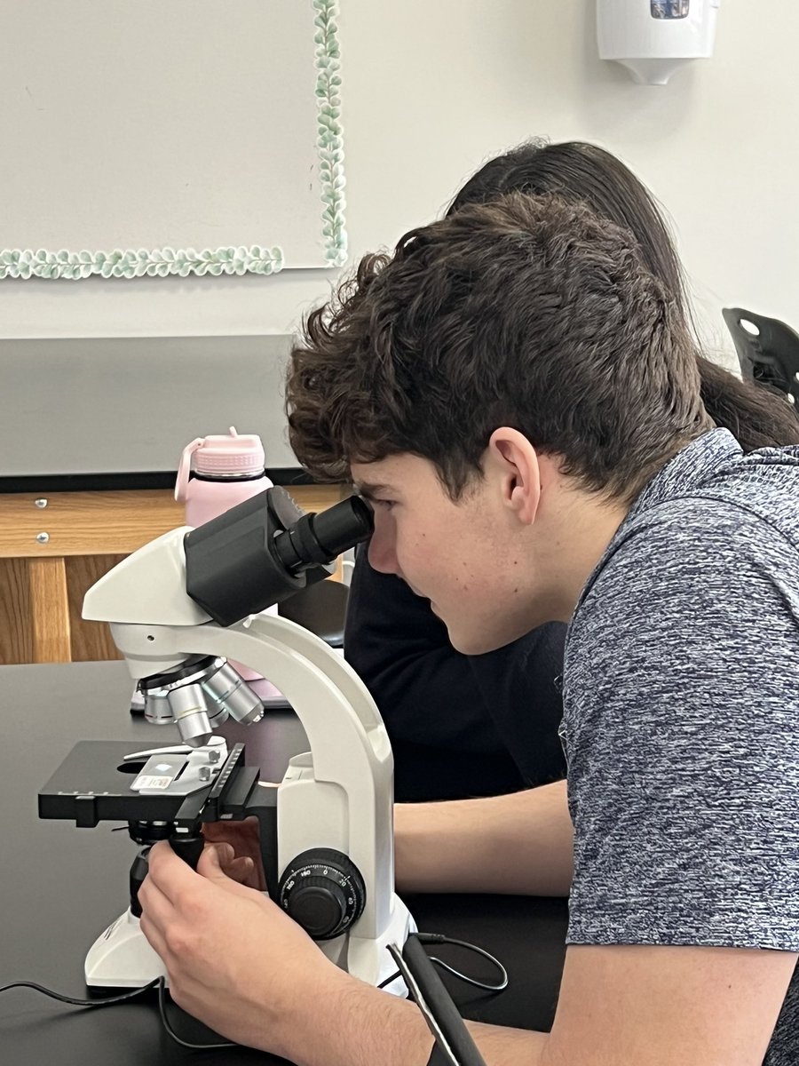KrishPsych's tweet photo. At Play with the microbial world of wonder. Dr. Krishnamurthy’s MI students explore the world of the Gram positive and Gram negative bacteria within the context of bacteriology. https://t.co/0IcdLyAagj