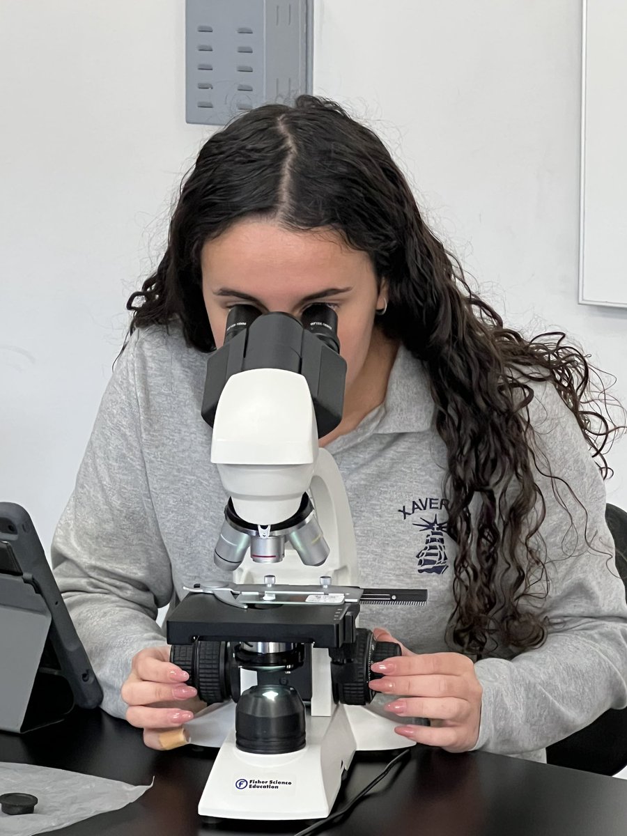 At Play with the microbial world of wonder. Dr. Krishnamurthy’s MI students explore the world of the Gram positive and Gram negative bacteria within the context of bacteriology.