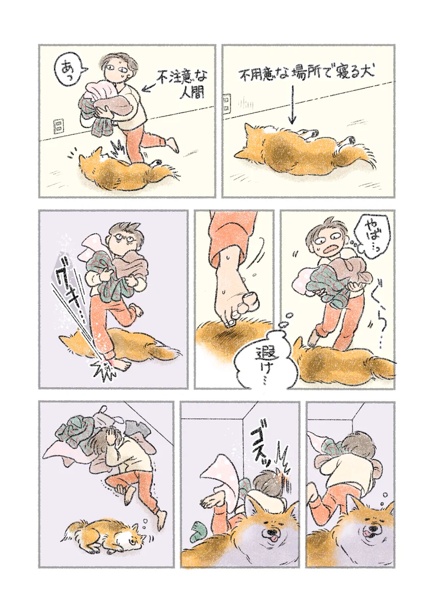 つまずいた先には寝ている愛犬が･･･！ある日の間一髪な瞬間を描いた犬漫画が話題に！