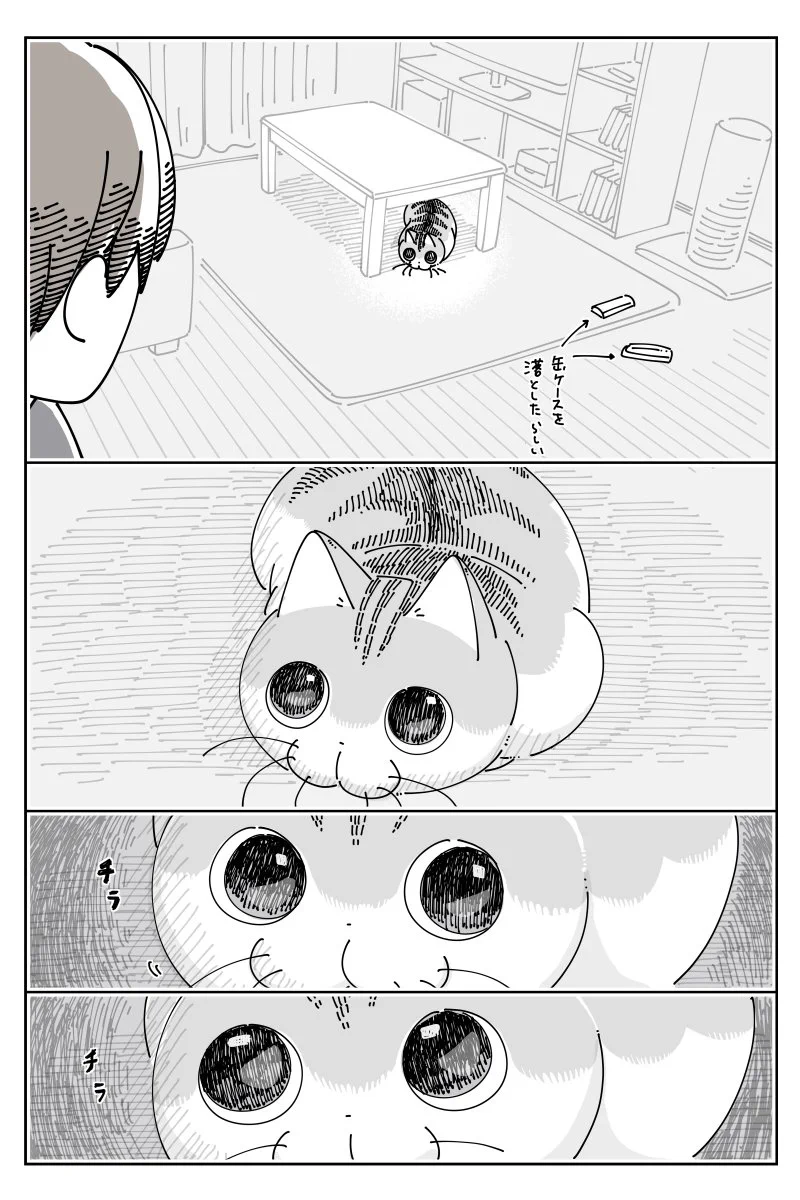 何か物が落ちる音がしたため見に行ってみると･･･！可愛すぎる猫漫画が話題に！