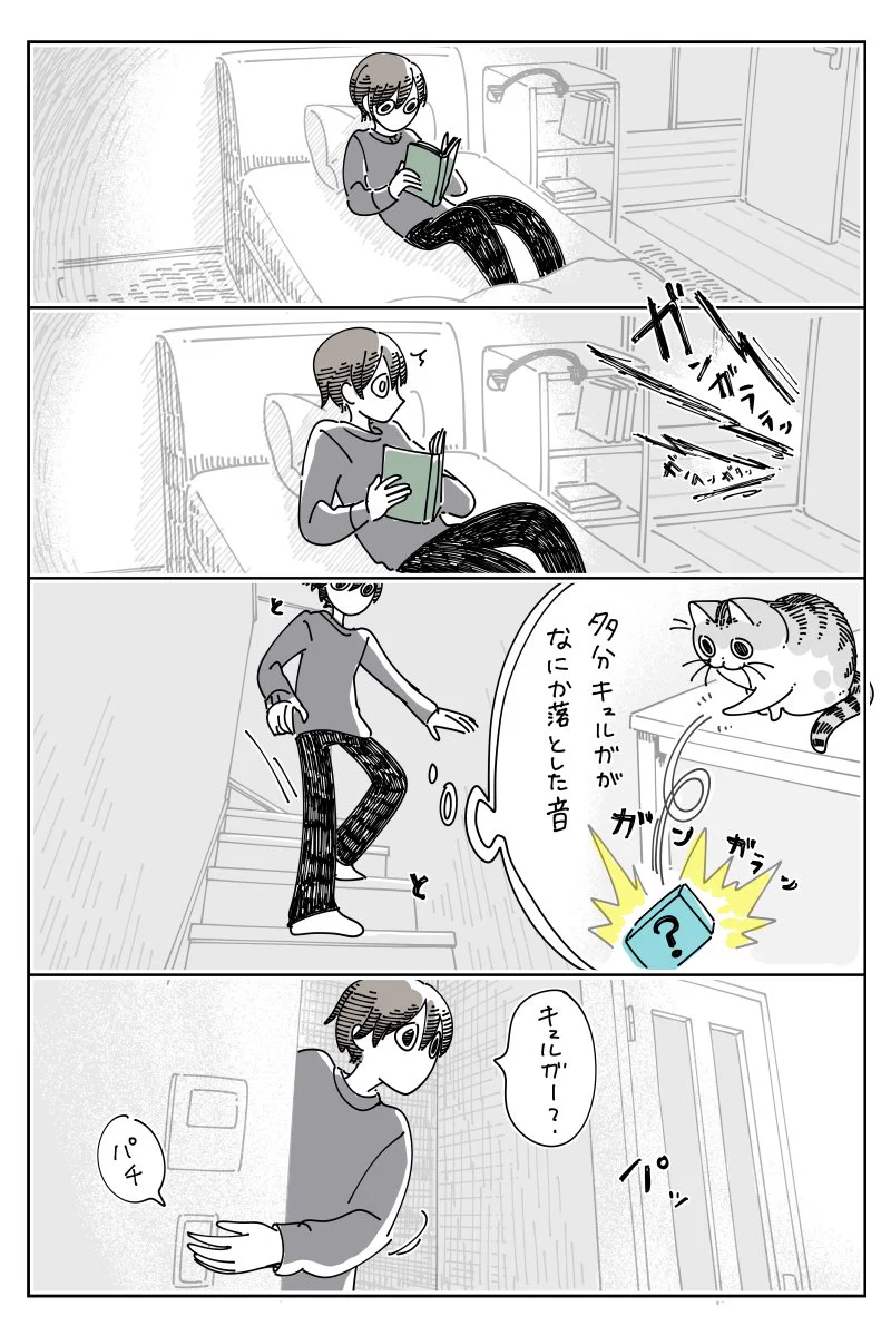 何か物が落ちる音がしたため見に行ってみると･･･！可愛すぎる猫漫画が話題に！
