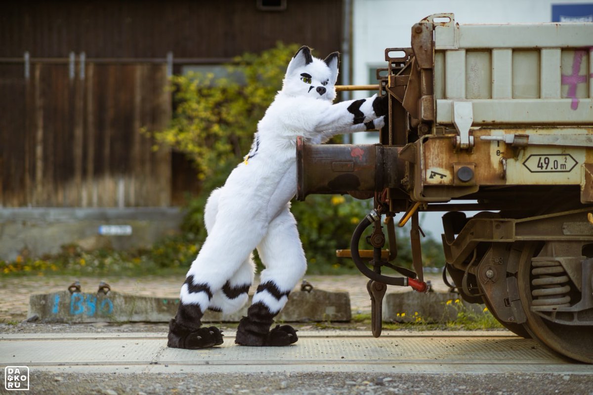 Werkfuchs (@werkfuchs) on Twitter photo Time for a little morning exercise π
Happy Fursuitfriday ^^
#Fursuitfriday
#Trainstation
π· <a href="/Furball_Dakoru/">πΊπΎ Dakoru πΎπΊ</a>
π <a href="/LunoWroo/">Wildspotworks Fursuits ππ</a> Time for a little morning exercise π
Happy Fursuitfriday ^^
#Fursuitfriday
#Trainstation
π· <a href="/Furball_Dakoru/">πΊπΎ Dakoru πΎπΊ</a>
π <a href="/LunoWroo/">Wildspotworks Fursuits ππ</a>