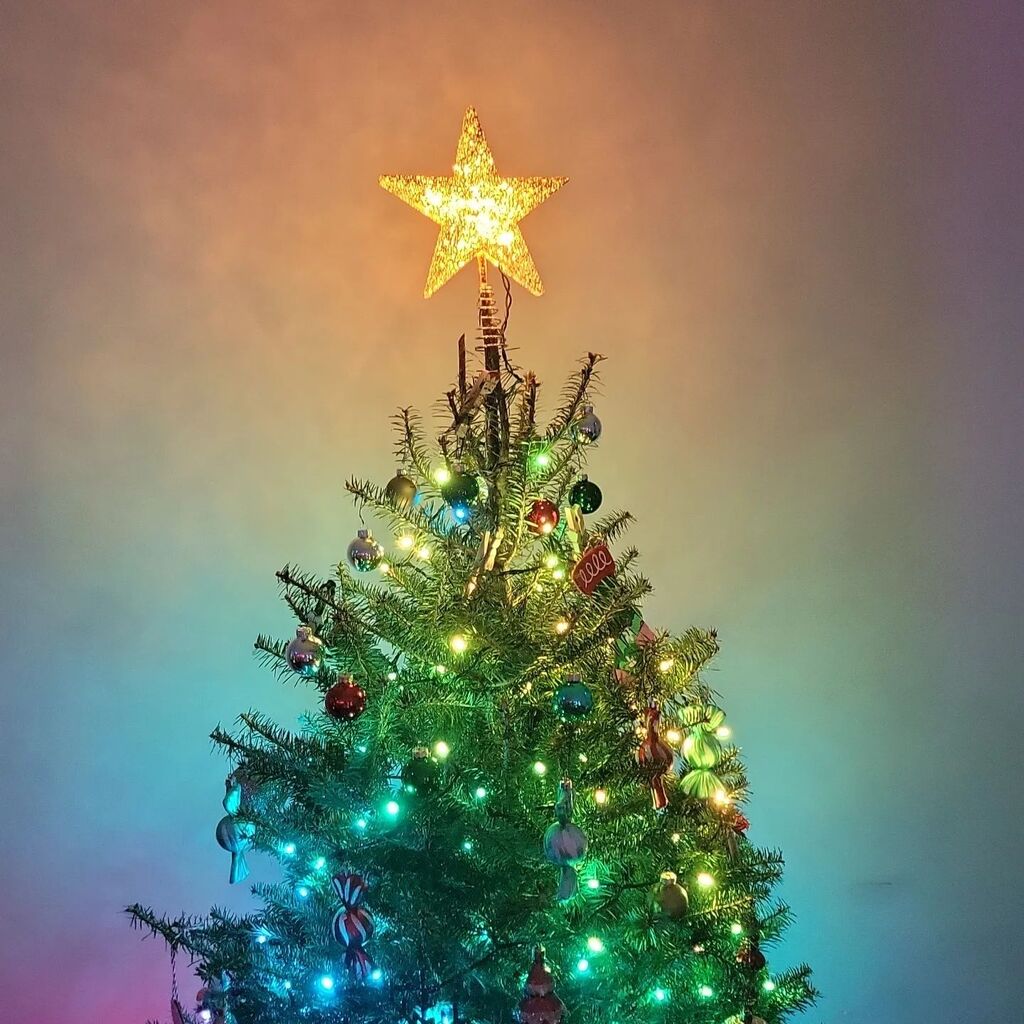 HOSiebecker's tweet photo. Happy holidays! First Christmas tree with @misssmashley13 https://t.co/FlM2GW1n6M https://t.co/nrsbzNrStq
