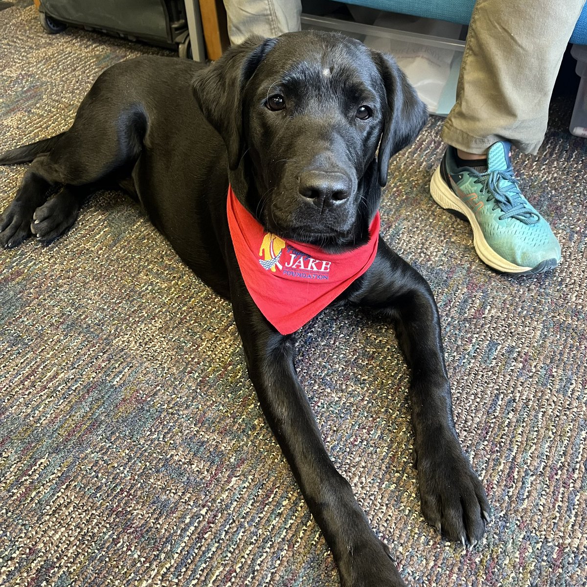 Another day of training complete! <a href="/puppyjakefdn/">Puppy Jake Foundation</a> <a href="/adiintl/">Assistance Dogs International</a>