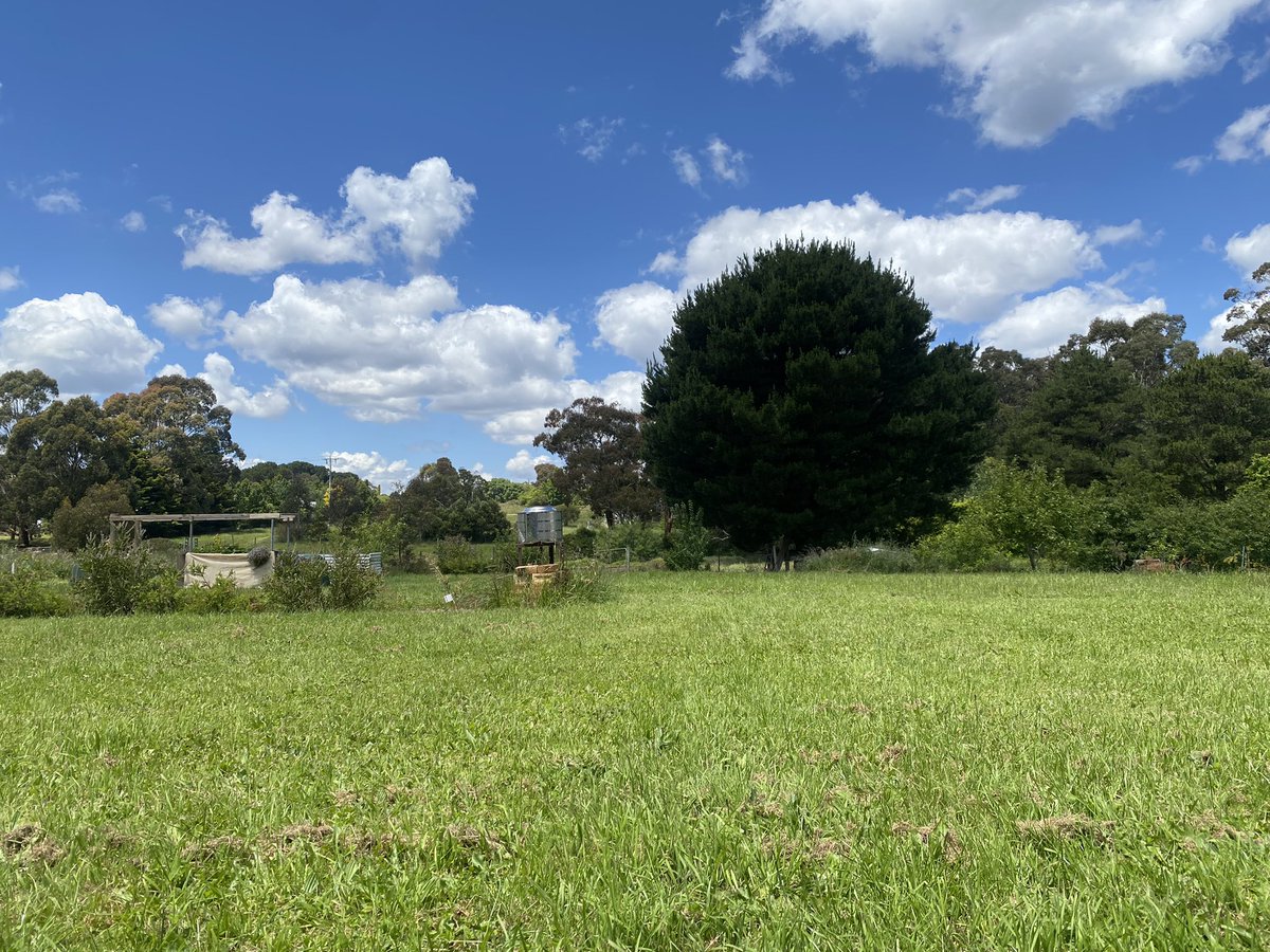Pinkelstien's tweet photo. My ‘back yard’ on this glorious Friday afternoon. #TheHamlet #LoveWhereYouLive #RuralVictoria #Friyay https://t.co/lzyL9zgtTS