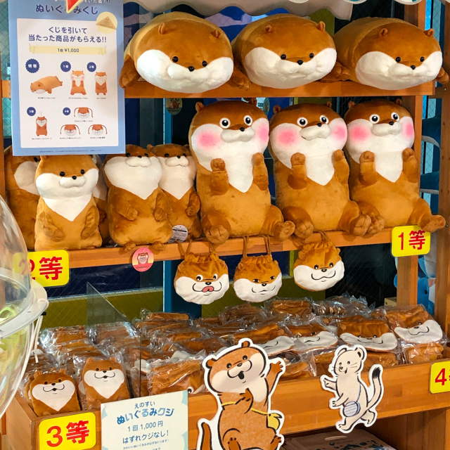 新江ノ島水族館 on X: 