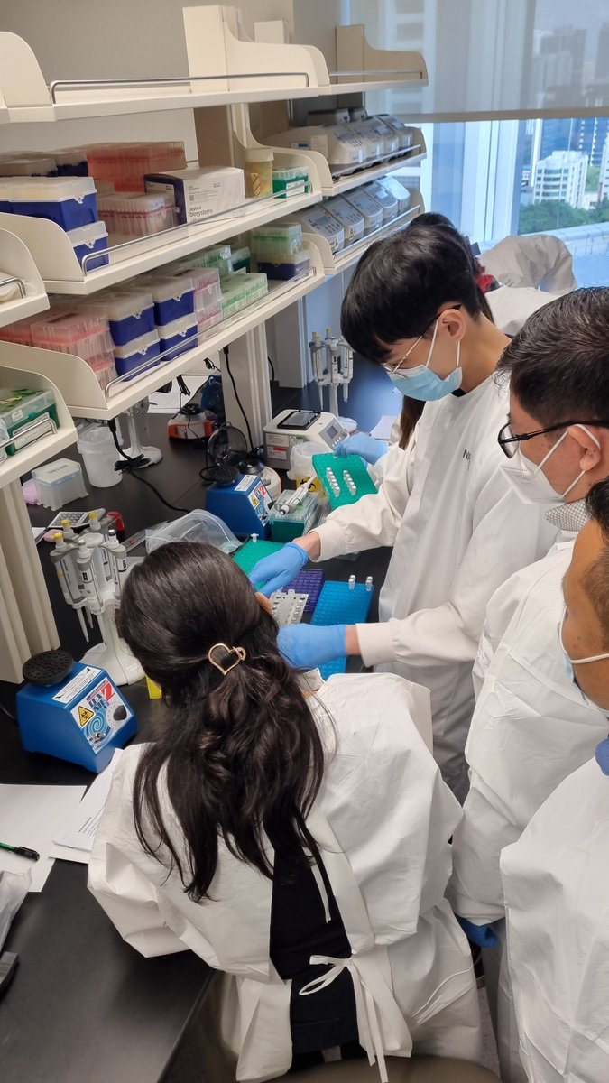 WHOWPRO's tweet photo. In collaboration with @sporeMOH &amp; @UKHSA's New Variant Assessment Platform, &amp; support from @EUinASEAN, @WHO is working with countries to strengthen genome surveillance capacity. Genome sequencing is essential to detect &amp; monitor SARS-CoV-2 variants, the virus that causes #COVID19 https://t.co/wsRHPlw0Vo