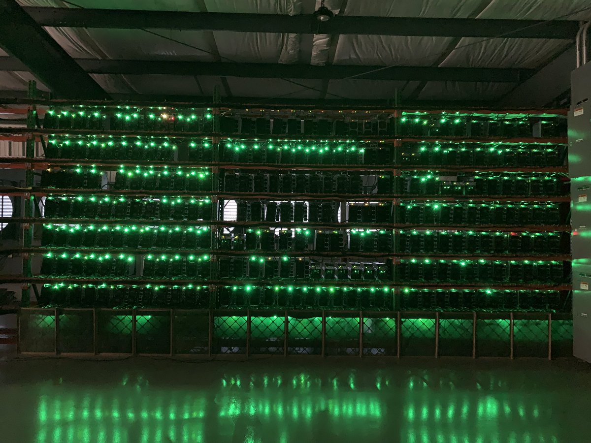 Feeling very Christmassy in here 🌲 🎅