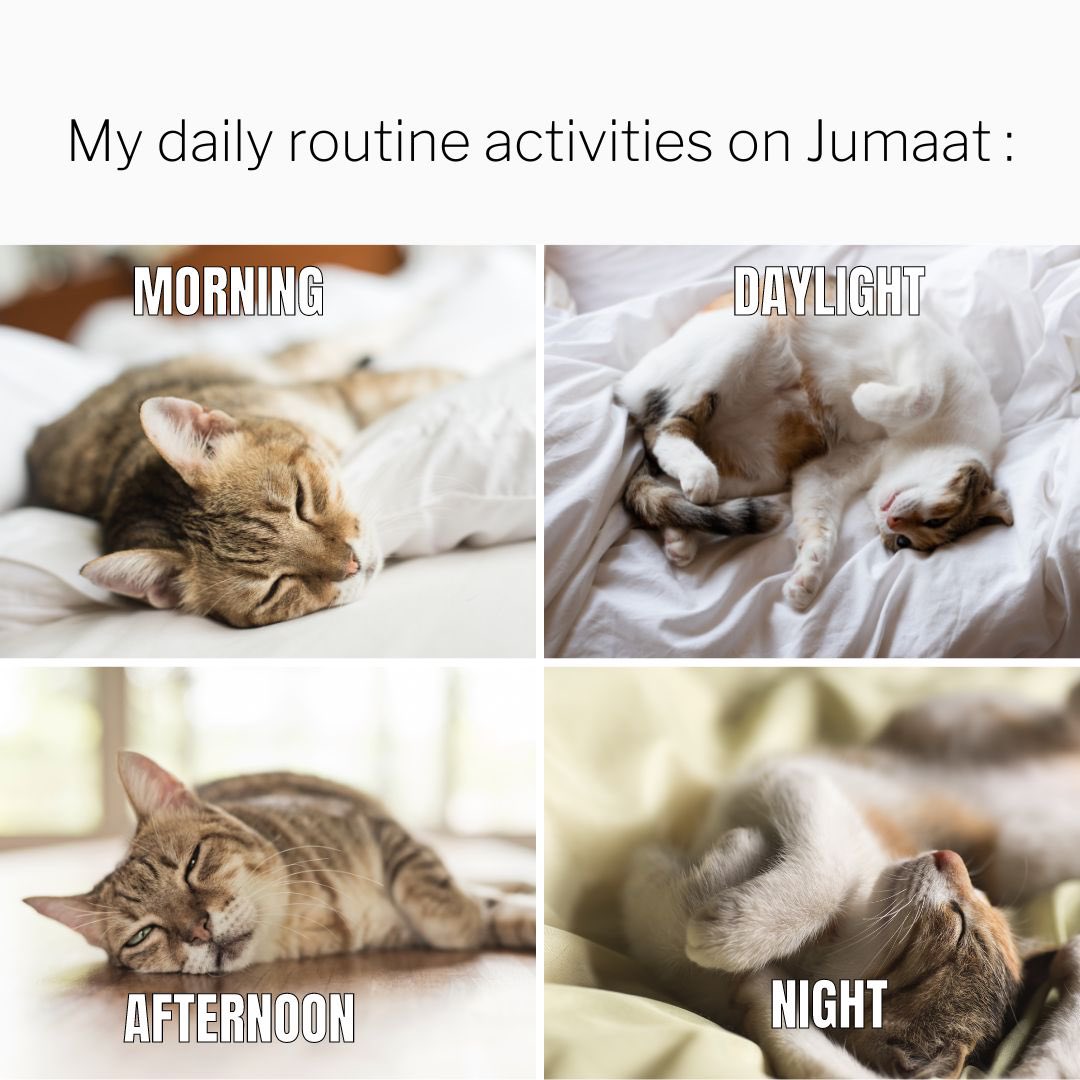 PEKA_UTM's tweet photo. Happy Friday and have a fabulous weekend everyone😍 #PEKAUTM https://t.co/FuZ6V6X0uh