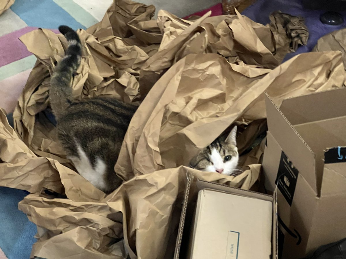 indiewebcat's tweet photo. Paper forest https://t.co/G3HBxESm20