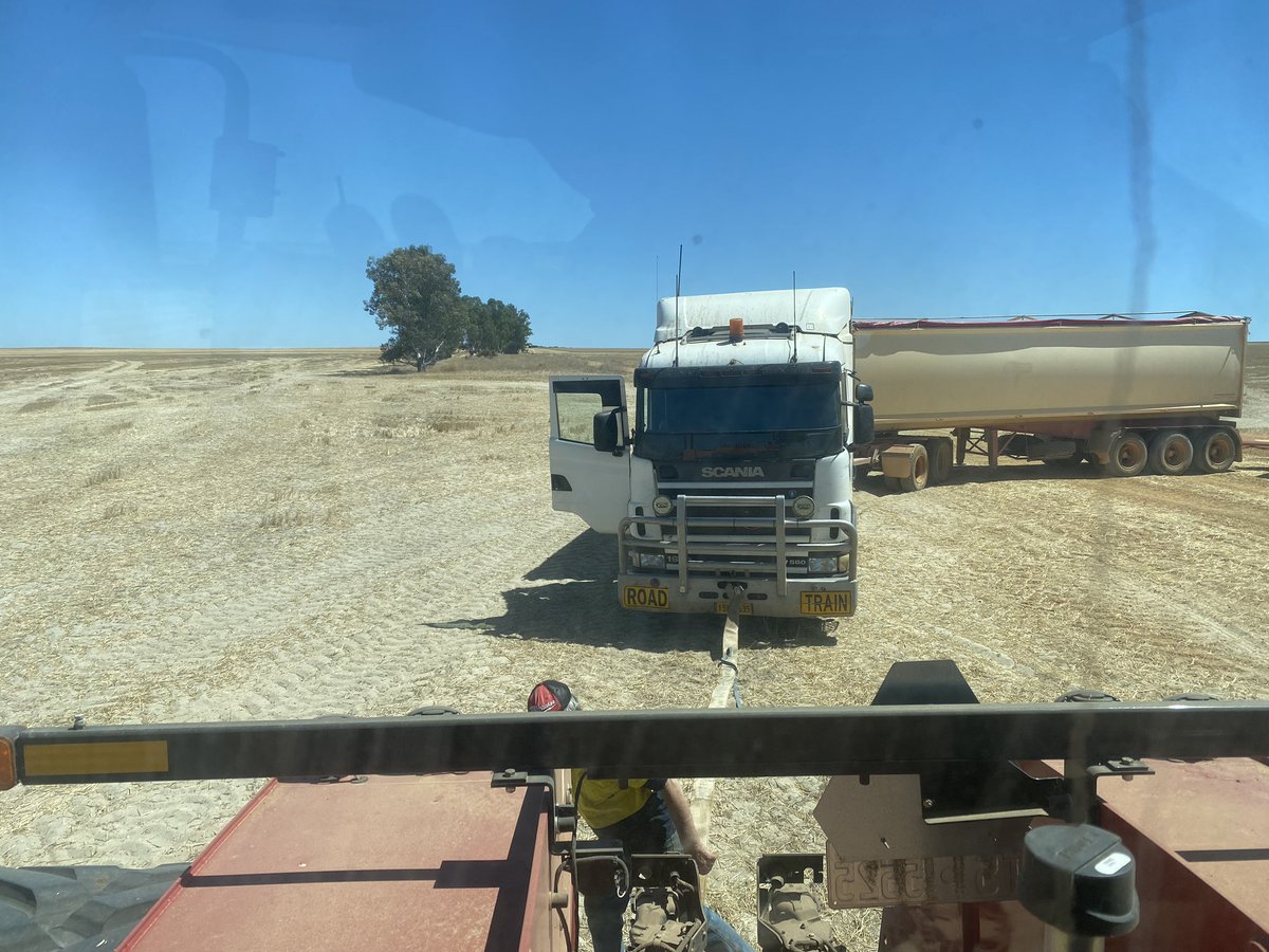 Some mothers do have ‘em!