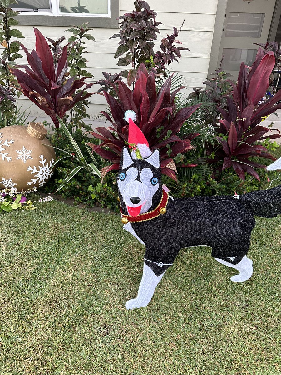 I need to sleep for like 3 days straight pls