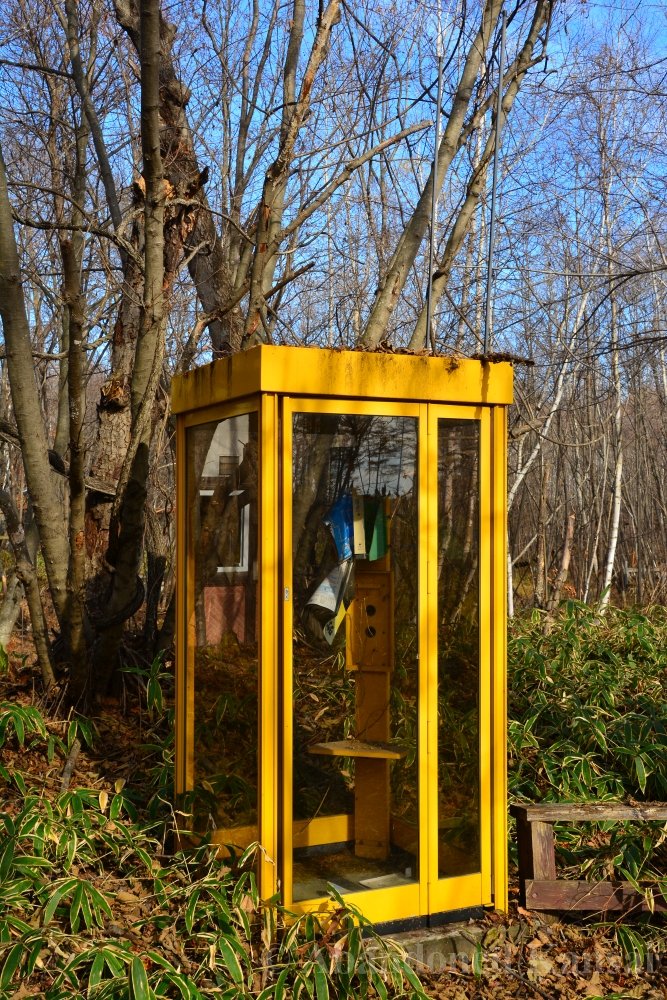 日本の森中にある1990年代のドイツの電話ボックス。