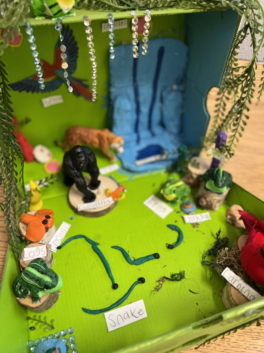 MsRehine's tweet photo. The Grade 4’s rainforest habitat dioramas! https://t.co/Euwckqex7R
