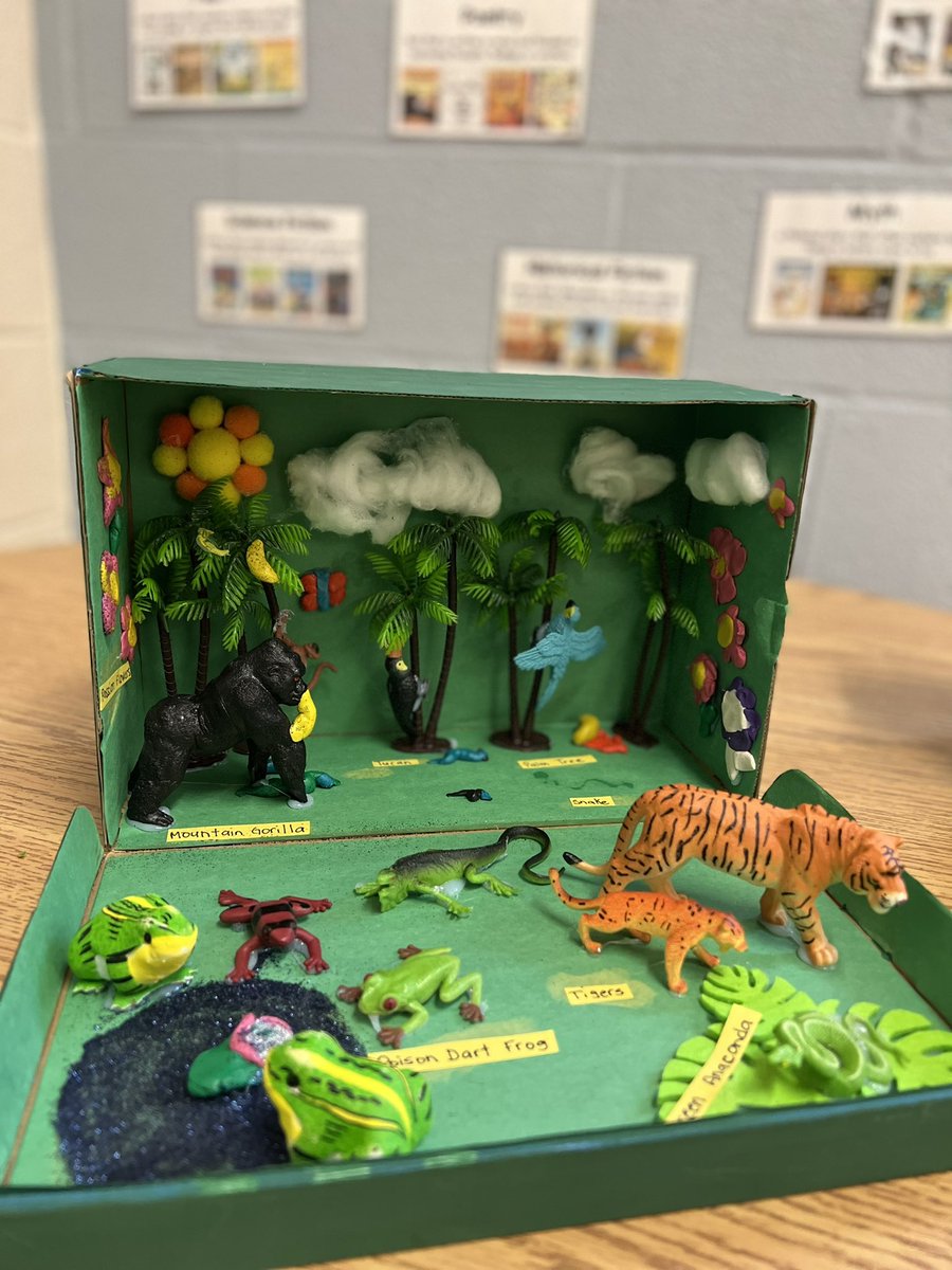 MsRehine's tweet photo. The Grade 4’s rainforest habitat dioramas! https://t.co/Euwckqex7R