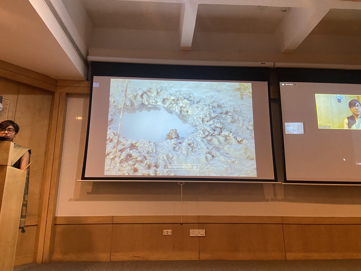 MSc Wildlife tweet media