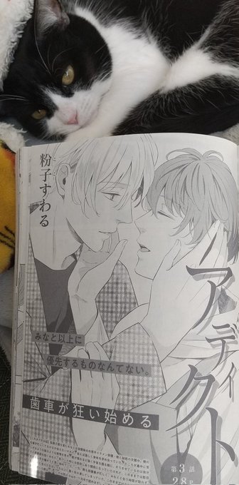 「お知らせ」
11月30日発売のdrap1月号に「アディクト」第3話を掲載して頂いてます。どうぞよろしくお願いいたします🙇 