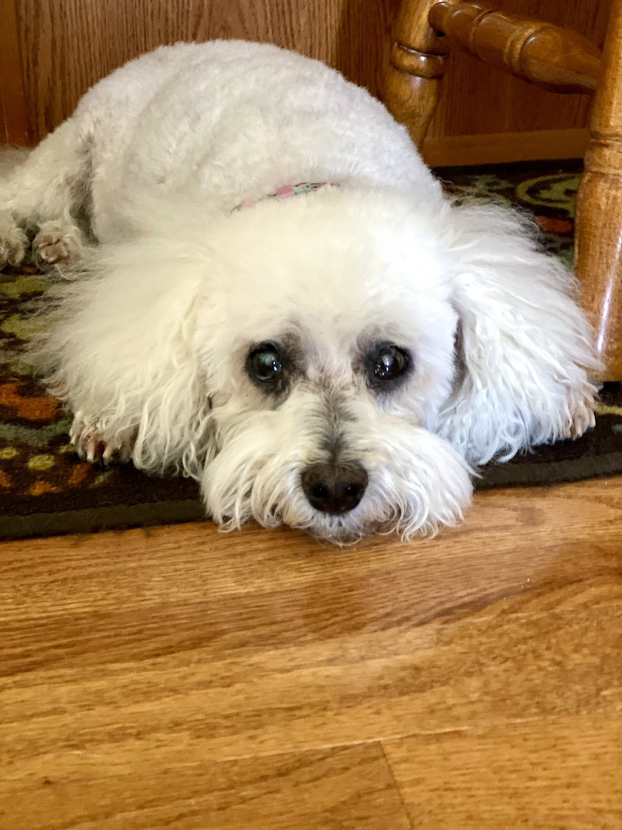 alexak327's tweet photo. @AdamParkhomenko My 14 year old Miley https://t.co/KHqRHmQvME