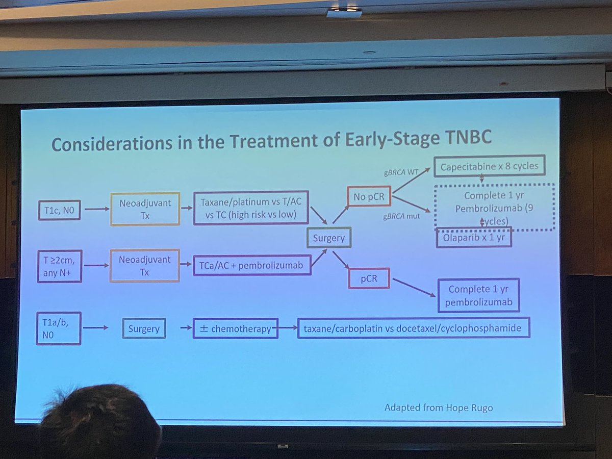 matteolambe's tweet photo. Great comprehensive presentation by super @RebeccaDSing at #ESMOasia22 on #immunotherapy in early triple-negative #BreastCancer: important citation for the recent review by @ElisaAgostinett &amp; the great algorithm for #TNBC treatment by @hoperugo

@OncoAlert @myESMO #bcsm #ImmOnc https://t.co/9V7NvWjcUd