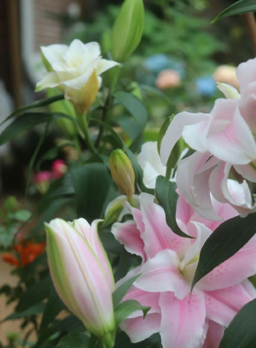 KeLin_1987's tweet image. Now I'm running hard, just to catch up with the self who once had high hopes