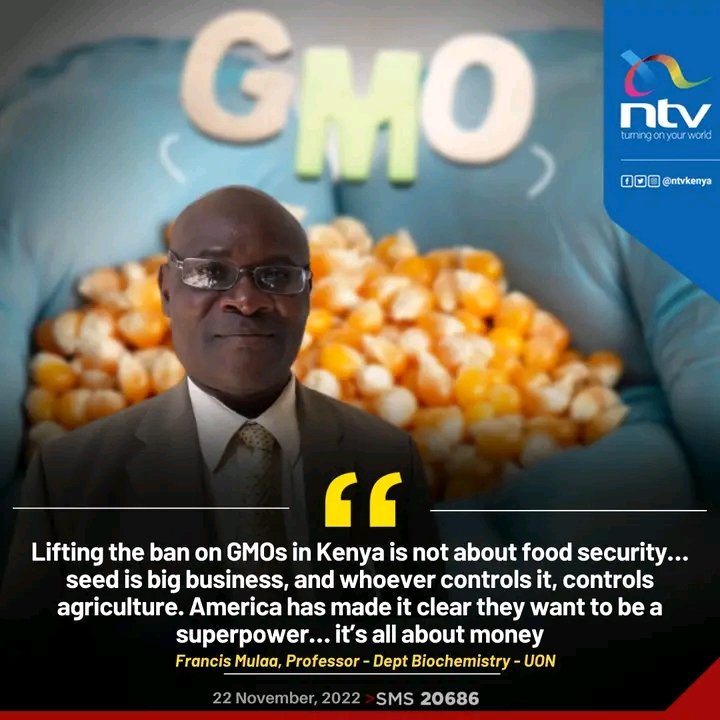 Denis Maina on Twitter "Introduction of GMOs in Kenya by economic