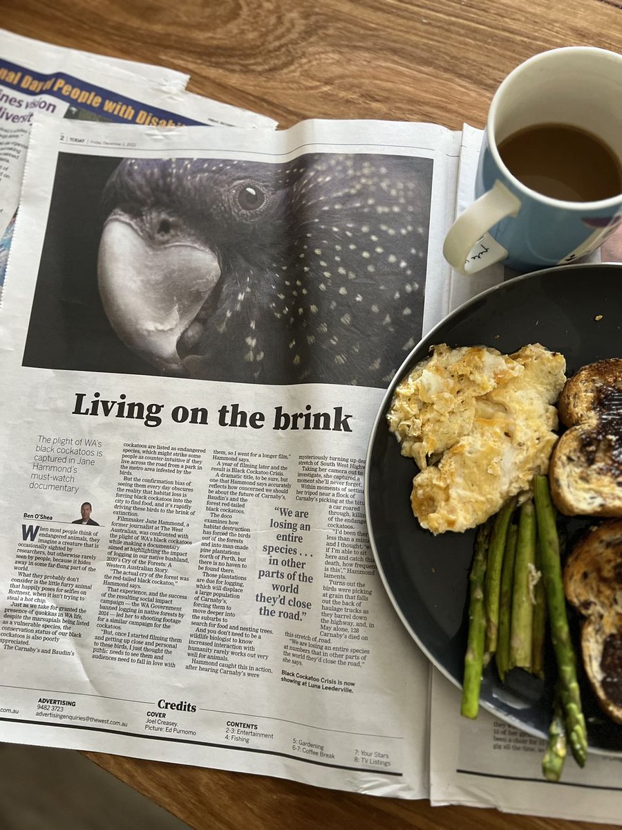 Wilderness_Aus's tweet photo. Great breakfast-read review of Black Cockatoo Crisis written by @benoshea  
https://t.co/fvZ2JE797S https://t.co/o4FVVzW5Xr