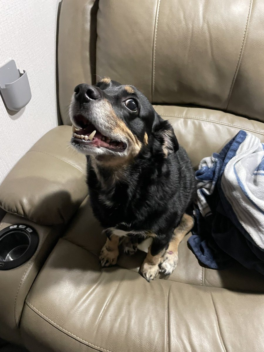 Jrobstr31's tweet image. 