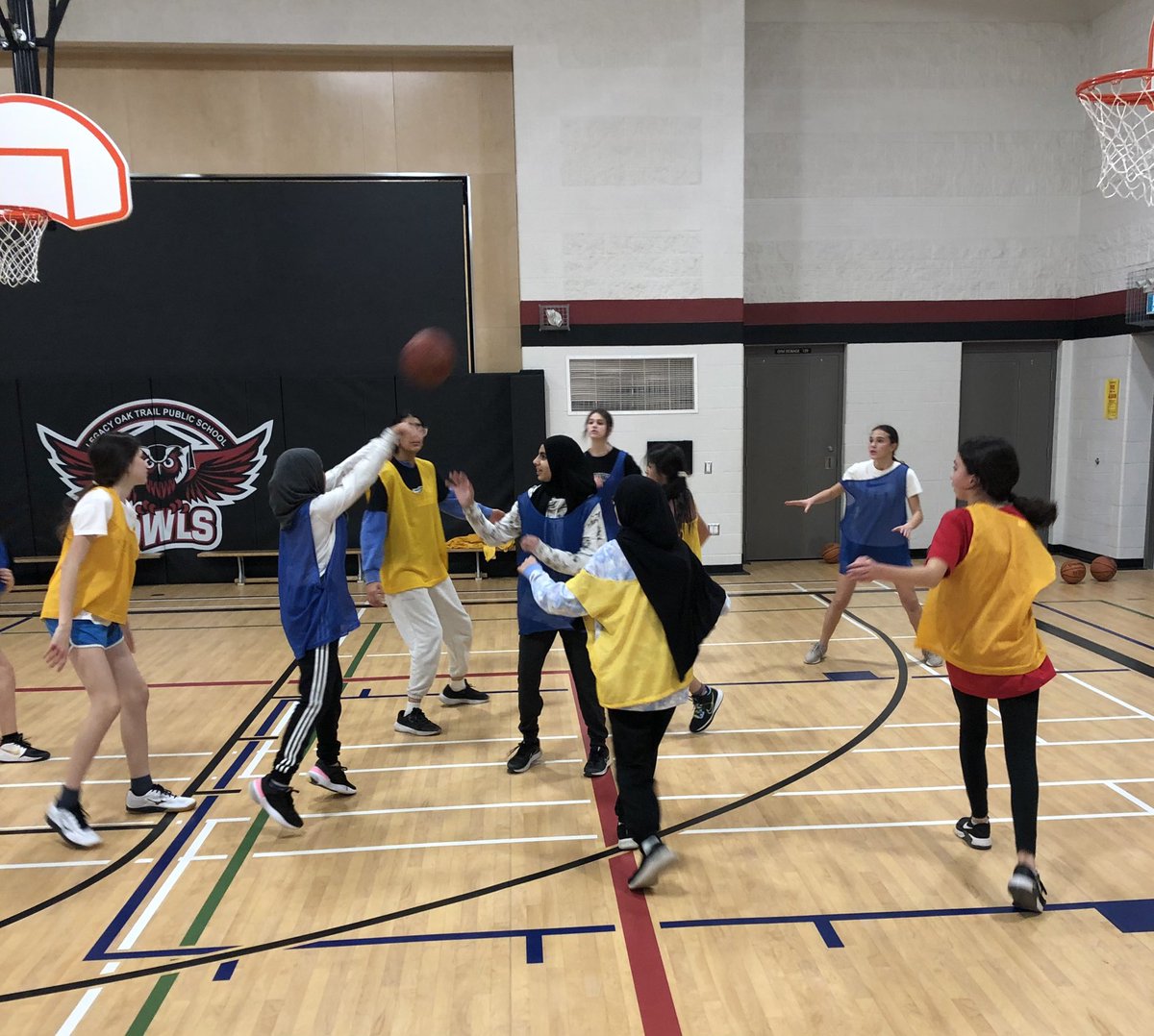 windsorvaliants's tweet photo. @LotOwls public school is host school for @windsorvaliants basketball house league. Go to Windsor Valiants website for winter registration information. https://t.co/uXnkSClgFw