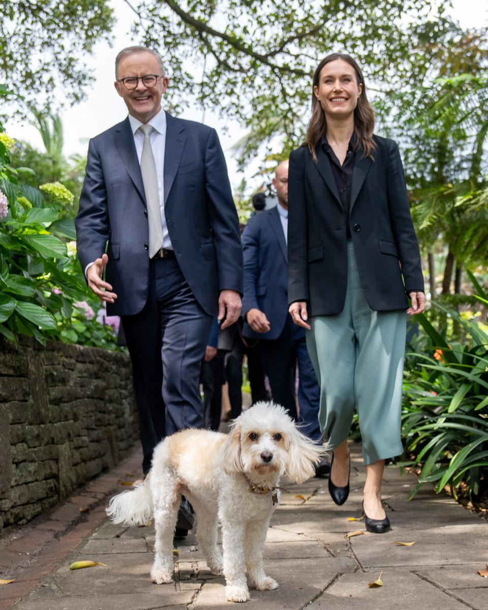 AlboMP's tweet image. Terrific to welcome Prime Minister of Finland @MarinSanna to Australia.