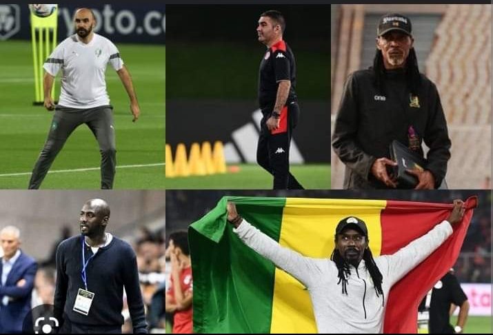 divine_yongka's tweet image. Guys what your impressions about the first participation of African Coaches to represent their respective countries in the #QatarWorldCup2022 
I believe our coaches have met up to the expectations. What do you think? 🤔