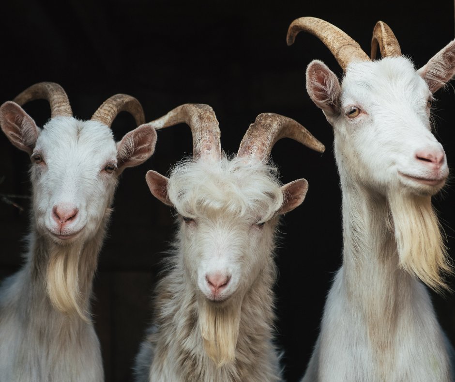 Metro Boomin, The Weeknd &amp; 21 Savage on CREEPIN