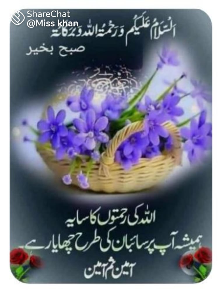 AkhtarNaved4's tweet photo. @chandnii__ जुमा मुबारक https://t.co/vArOOlK6zS