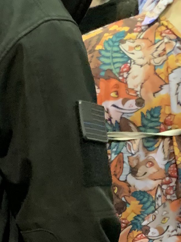 emily north tweet media