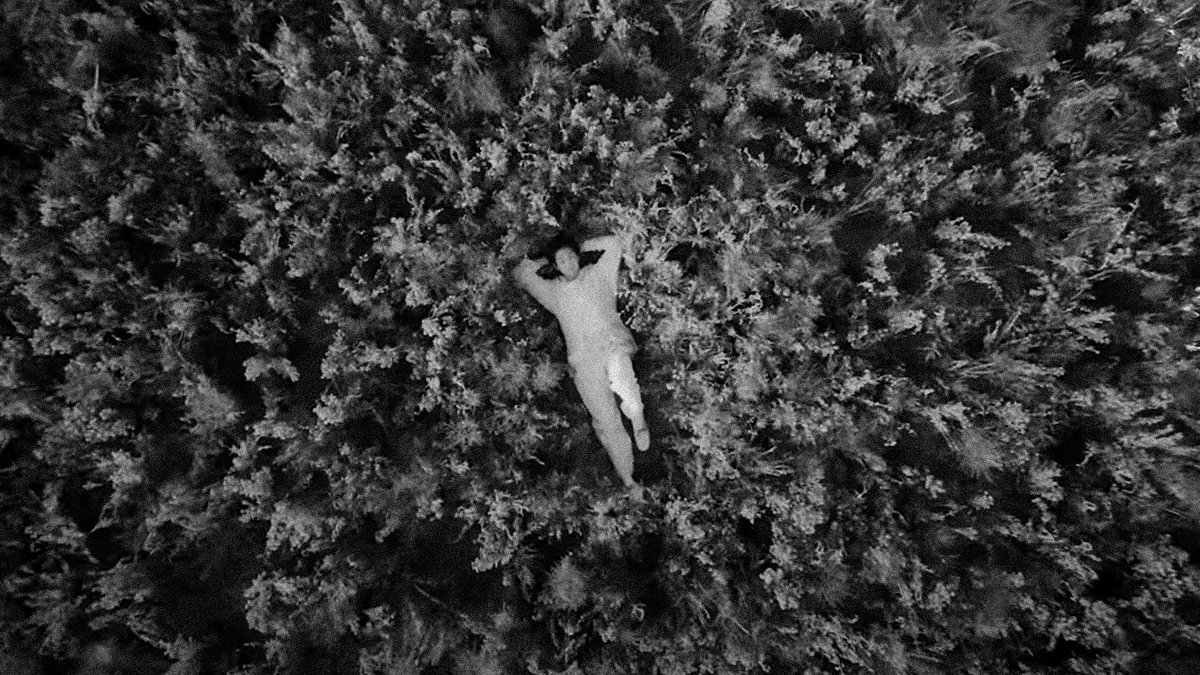 meroutro's tweet photo. wildflower, 2022. https://t.co/HHvGx1XS8z
