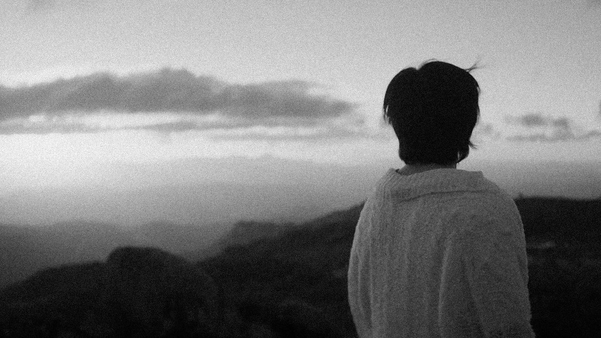 meroutro's tweet photo. wildflower, 2022. https://t.co/HHvGx1XS8z