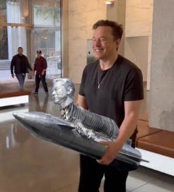 hailey gomes tweet media