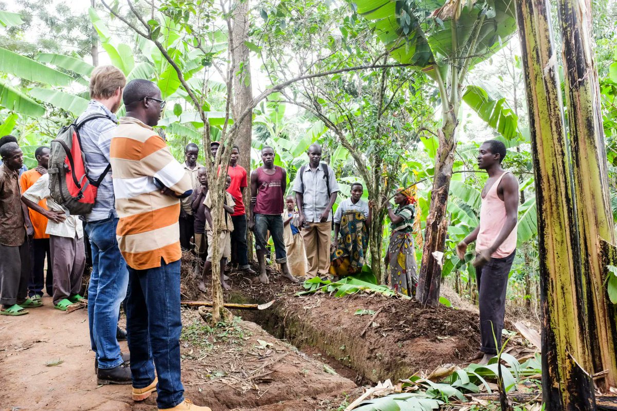 To restore &amp; maintain productive #soils, #PAGRIS project supports #farmers in #Burundi using #GoodAgriculturalPractices to preserve long-term #SoilHealth.

Learn more about the Soil Fertility Stewardship Project #PAGRIS here: ifdc.org/projects/soil-…