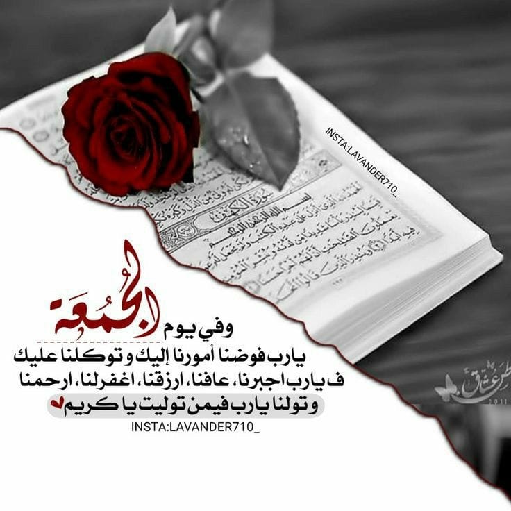 Basem1024's tweet image. 