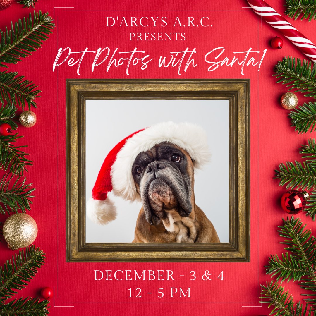 DarcysARC's tweet image. We would like to take this opportunity to remind those that have not done so, to book your holiday photos!
Photographs are being taken on December 3rd and 4th from noon until five p.m. Photographs will be given as a digital file with a minimum donation of $20 to the ARC.