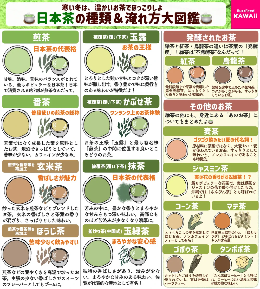 イラスト付きだからすごく分かりやすい！「日本茶」の種類や淹れ方などのまとめ！