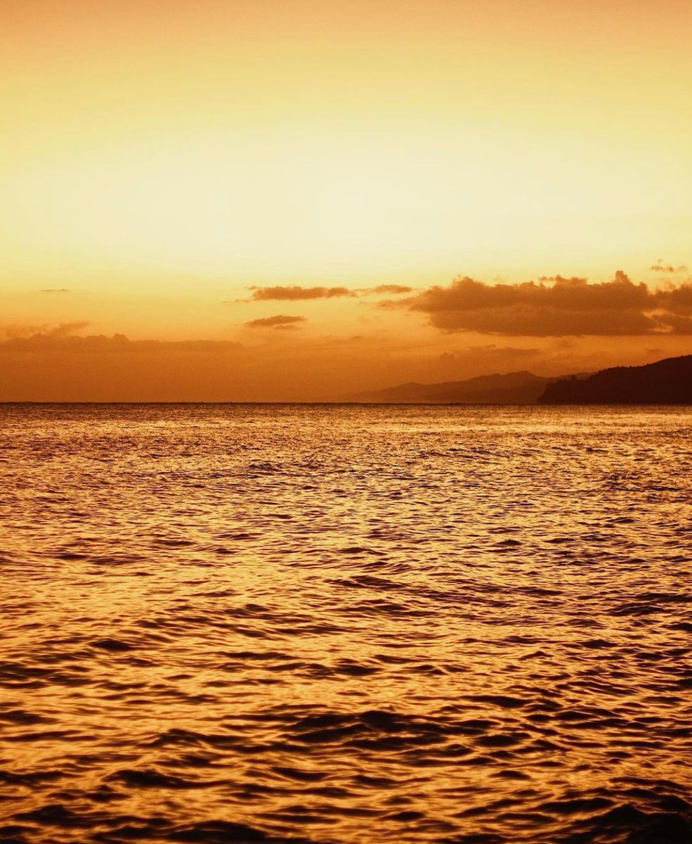 CrusoesR's tweet photo. Visit Us &amp; Enjoy The Magnificent Sunset While Sipping On an Icy Cold Beer Down At Our Famous Taki’s Bar📍🇫🇯

PC : Jhoanhincapie (insta) https://t.co/NM6scRYFLx